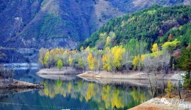 这个周末我约了丹凤的秋天，邀你共赏！去的约起来....