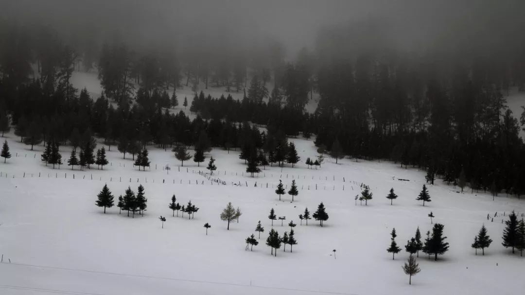 雪都阿勒泰·净土喀纳斯走进北京、上海、武汉、郑州四城向全国发起邀请：冬季做客人类滑雪起源地阿勒泰·人间净土喀纳斯不冬眠