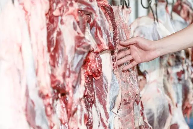 超级正宗的手打潮汕牛肉丸,正宗潮汕牛肉丸纯手工会爆汁