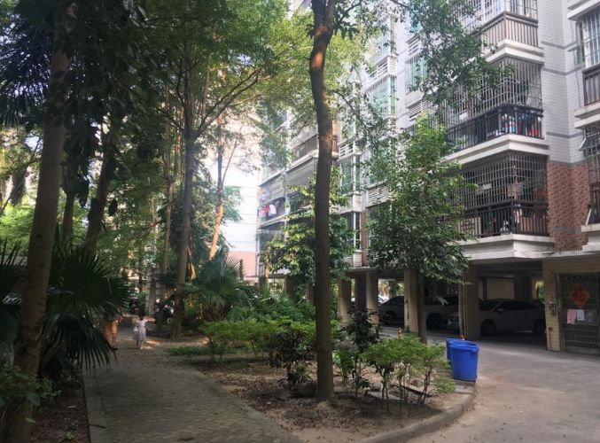 肇庆端州区法院房产拍卖,广东肇庆最新拍卖房