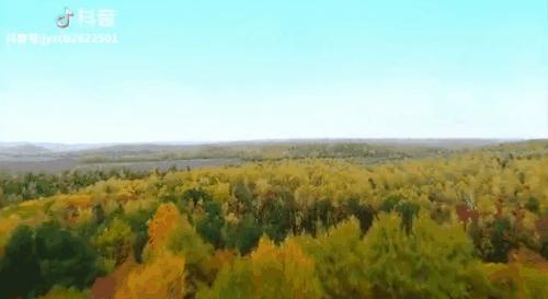 一个真实的黑龙江该是什么样,一个真实的故事黑龙江