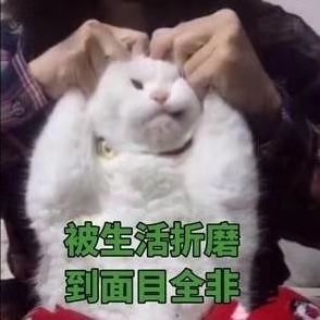 在日本用什么电话卡划算,在日本办理一个电话卡出国打工