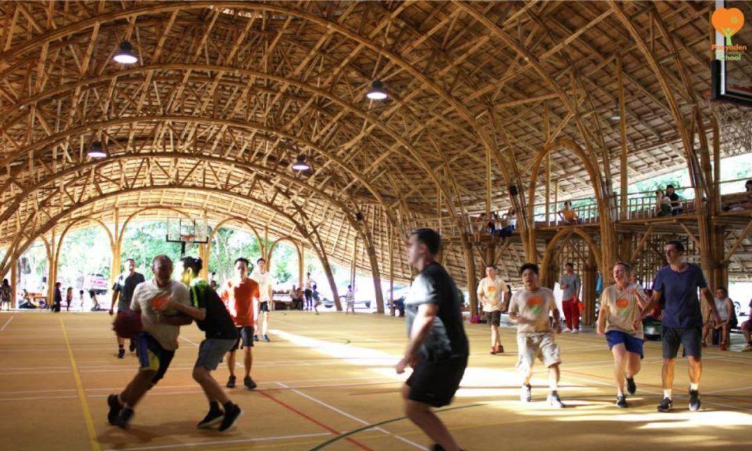 竹子的优点有哪些,竹子很有营养吗