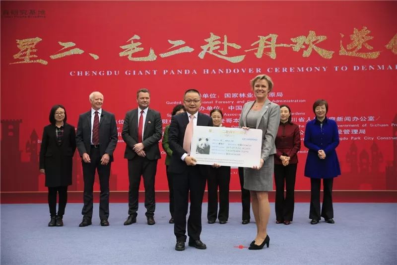 大熊猫是怎么当上国宝的,封王之路简介