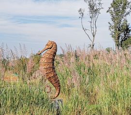 天府绿道最美的地方,天府绿道震撼全景