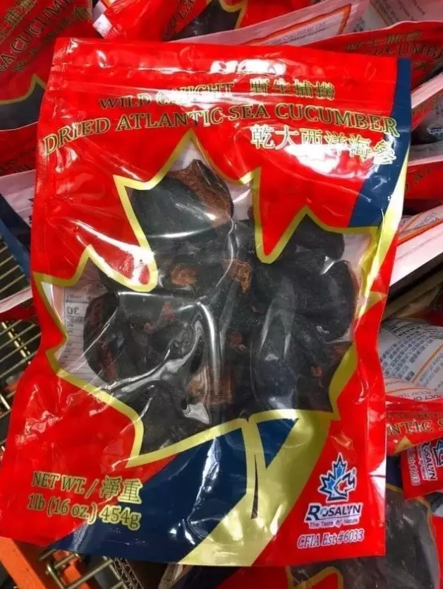 加拿大海参购买,购买加拿大海参