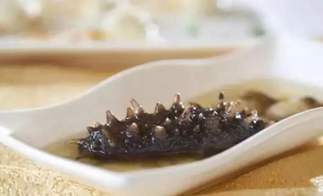 加拿大海参购买,购买加拿大海参