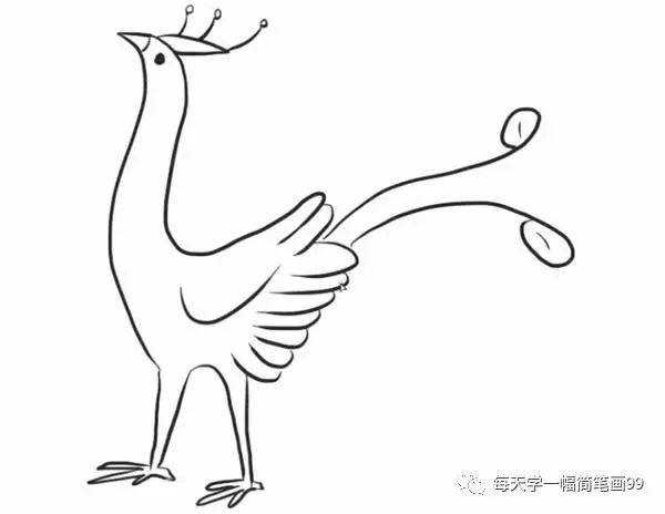 二年级孔雀简笔画简单又好看,叶罗丽孔雀简笔画简单又漂亮