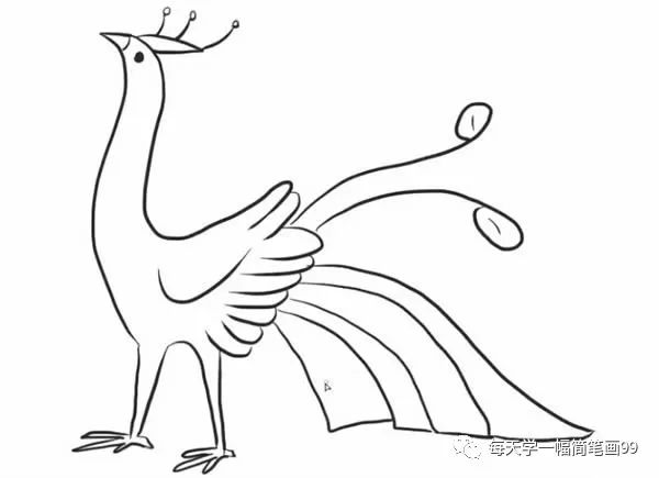 二年级孔雀简笔画简单又好看,叶罗丽孔雀简笔画简单又漂亮