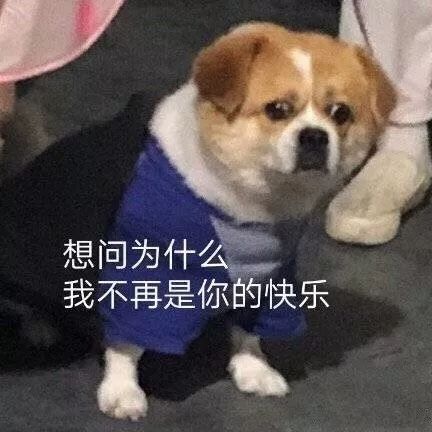 比胖更可怕的竟然是秃头！看完不敢减肥了