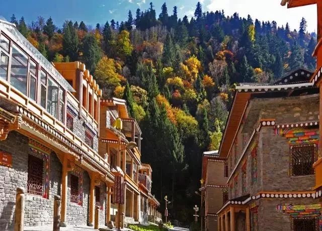 秋天的川西彩林,川西彩林最佳观赏地点