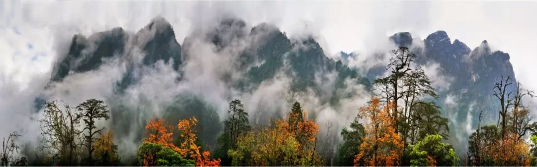 最美川西看彩林推荐地,美哭了这才是虹口秋天最美的地方