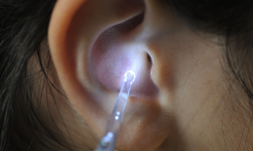 虫子钻到鼻子里怎么自救,虫子钻入耳朵怎么把它快速弄出来