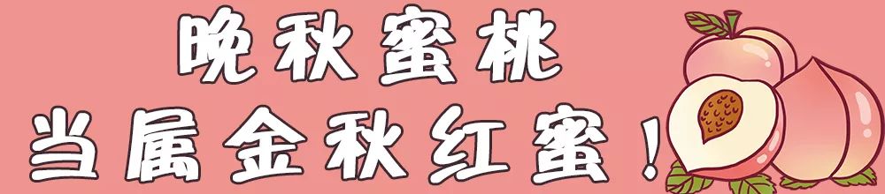 这桃子真甜,比金秋红蜜还好吃的桃子