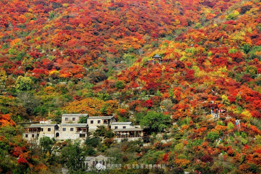 北京秋天赏红叶好去处房山坡峰岭,秋天赏红叶最佳去处