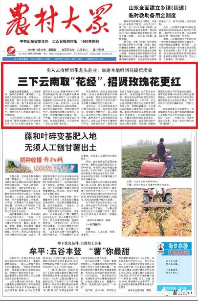 老百姓看农民日报,人民日报莒县