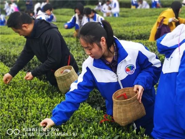 中小学生研学活动是什么,小学综合实践活动研学课程