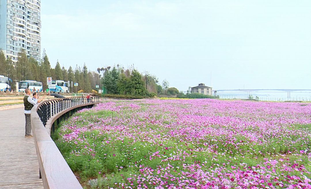 黄石周边一日游网红打卡地,黄石市爬山散步