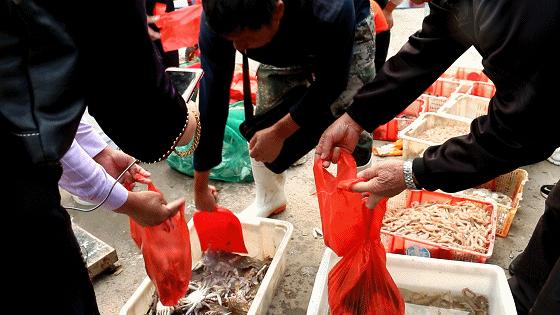 小港码头有蛏子吗,小港码头吃海鲜俱乐部电话