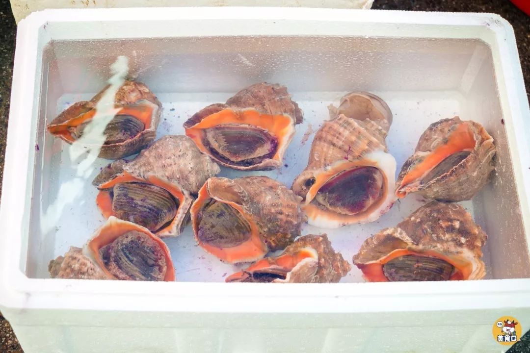 小港码头有蛏子吗,小港码头吃海鲜俱乐部电话