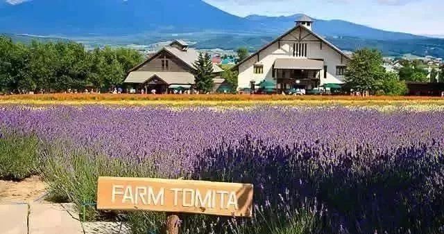 学习日本农业：超前思维，敬畏自然，死磕单品