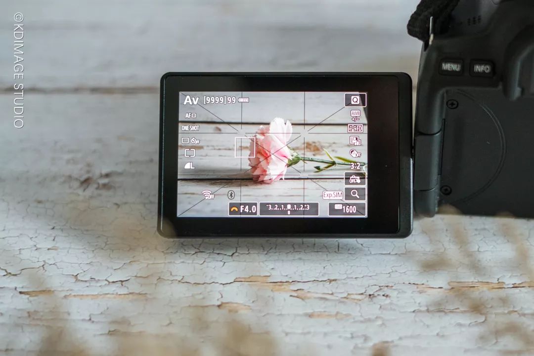 vlog单反入门级相机推荐,初学vlog适合用什么样的相机