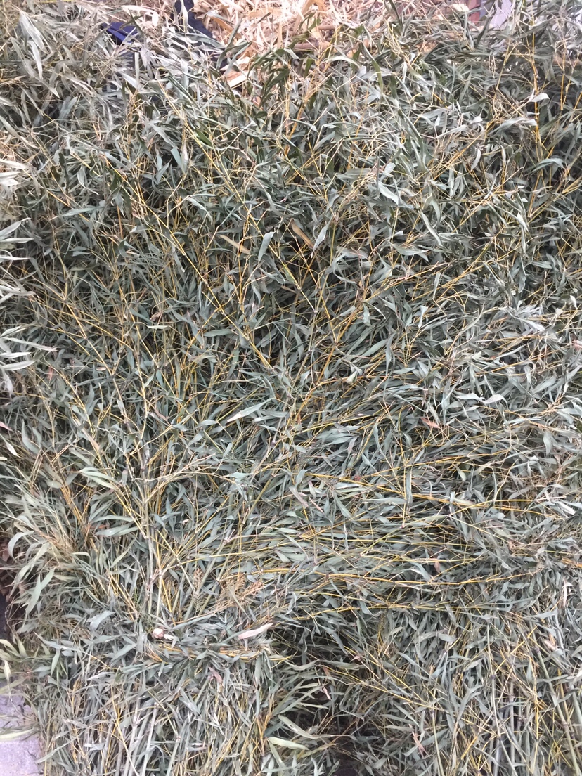 好久未发说说,好久没发过朋友圈的句子