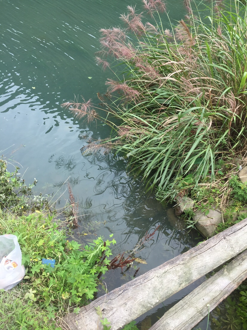 好久未发说说,好久没发过朋友圈的句子