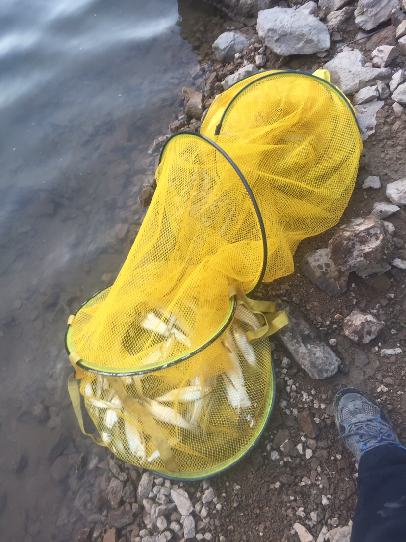 好久未发说说,好久没发过朋友圈的句子