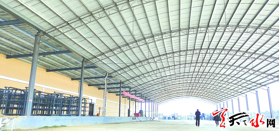 武山建设,武山县发展