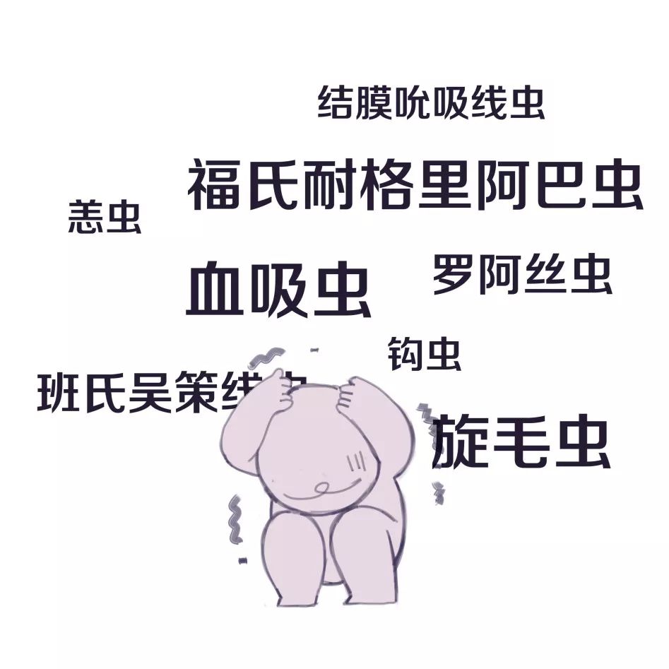 川大必修课最新消息,川大有哪些必修课