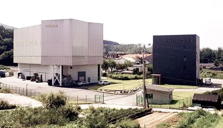 澳皙可涂抹面膜,澳皙可海藻面膜适合什么肤质