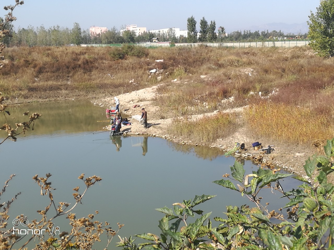初春野河钓小杂鱼,野钓避杂鱼