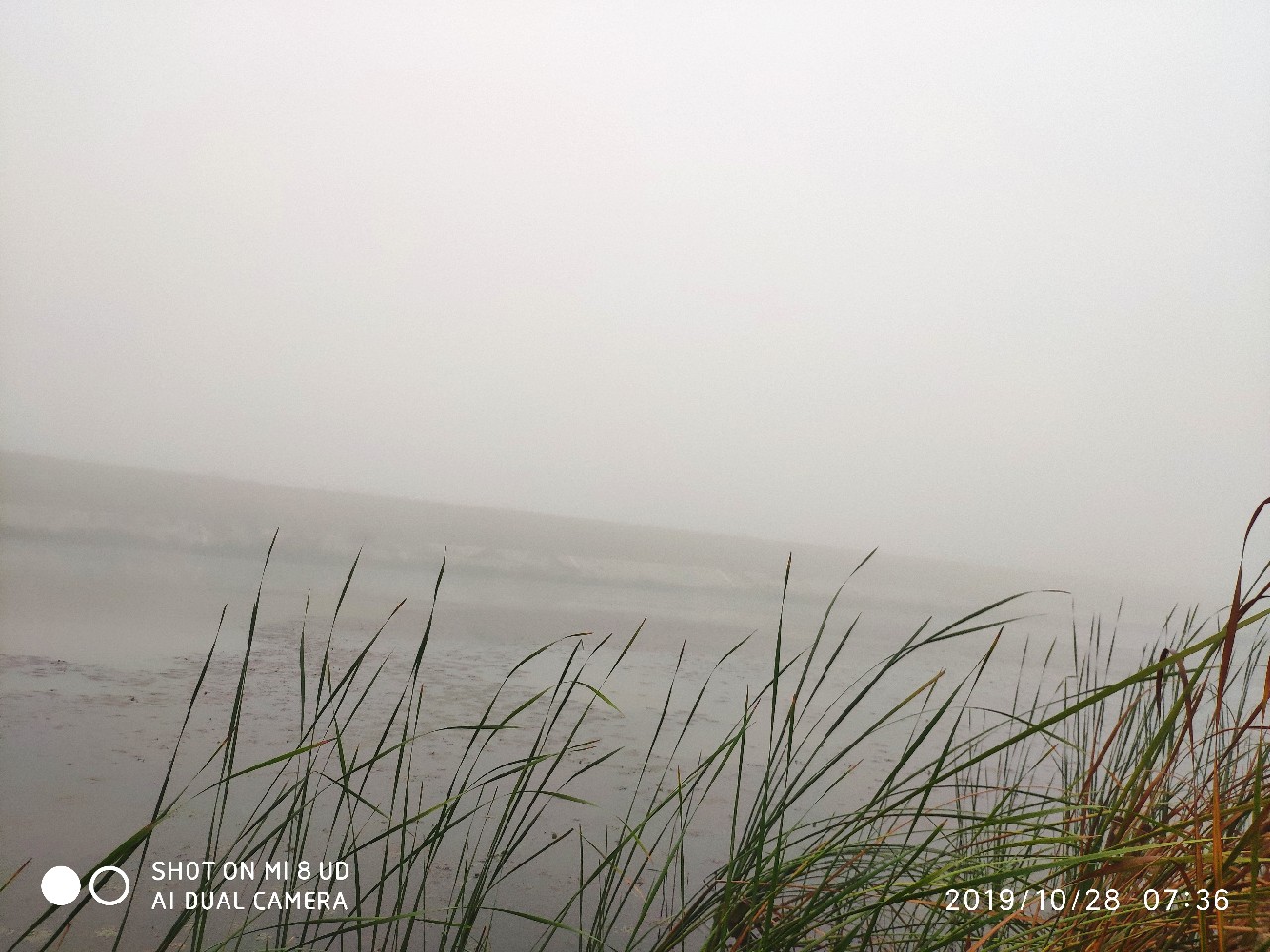 和钓友吃吃喝喝好不好,野钓与钓友