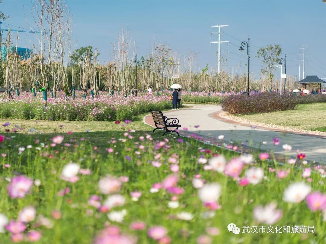 所有女生！江滩“上新”了秋游好去处