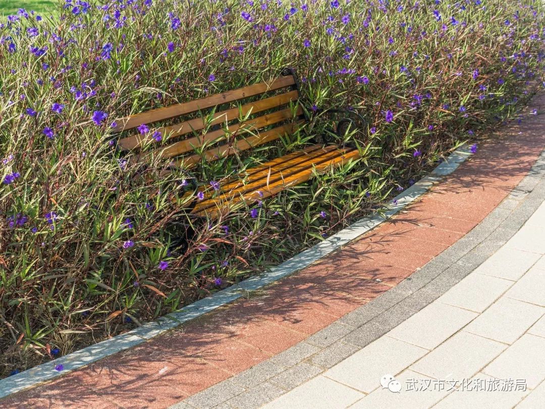 所有女生！江滩“上新”了秋游好去处