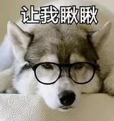 贵阳给狗狗办身份证,老狗办理电子犬证