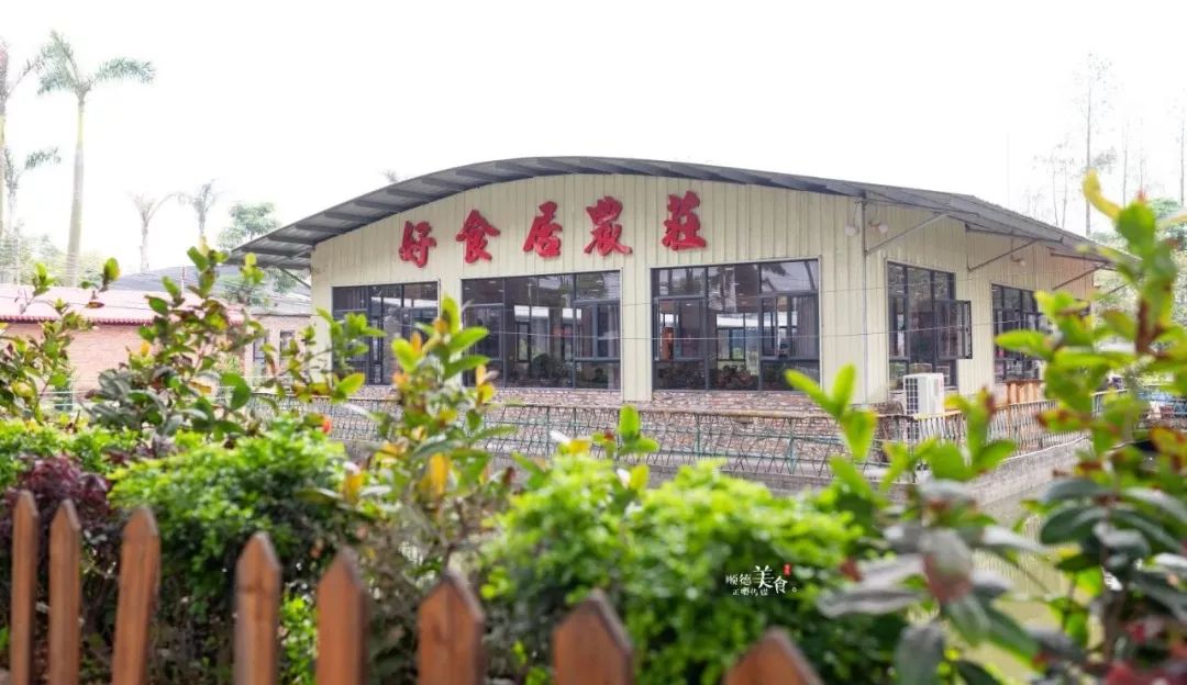 嚟度，可能系顺德桑拿种类最多嘅地方！鸵鸟都唔放过！真够呛