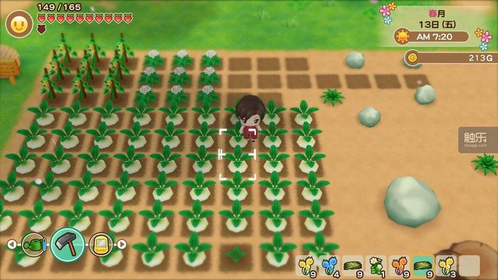 万圣节玩的游戏是什么样的,万圣节玩游戏