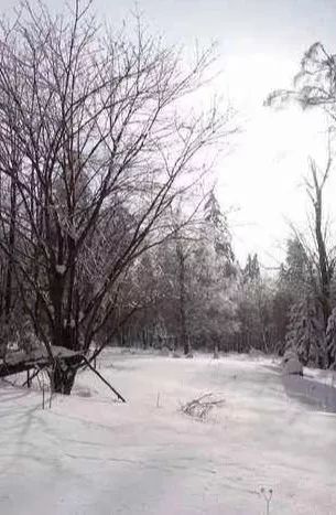 这是一场冰雪世界与海上花园的相遇，期待与你碰撞出不一样的火花~