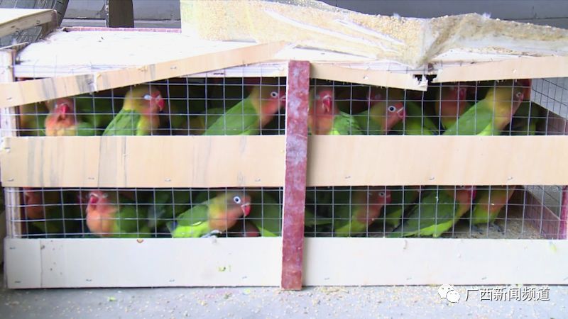 早新闻丨扇县委书记耳光、挖镇*党**委书记祖坟，柳林首富一审被判死缓