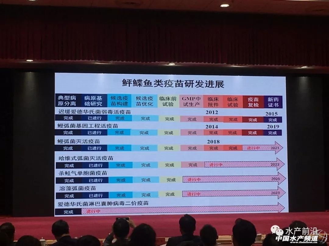 促进产业转型升级实现高质量发展,关于促进渔业持续健康发展的意见