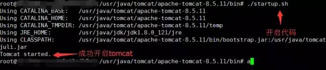 不想备案用云服务器建站教程,云服务器域名注册的方法是什么