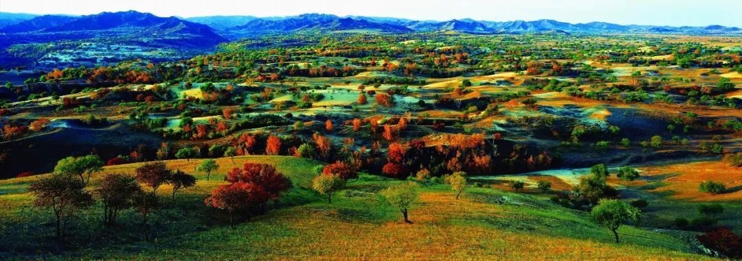 隐藏在CHI（赤）FENG（峰）里的秘密，你发现了吗？