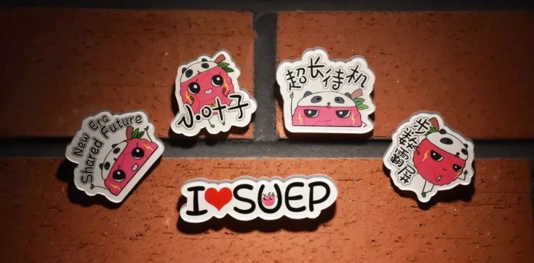 同学，换徽章吗？沪上各高校“小叶子”进博徽章大集合！