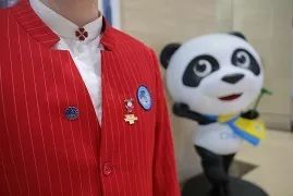 进博会小叶子徽章,进博会小叶子完整视频