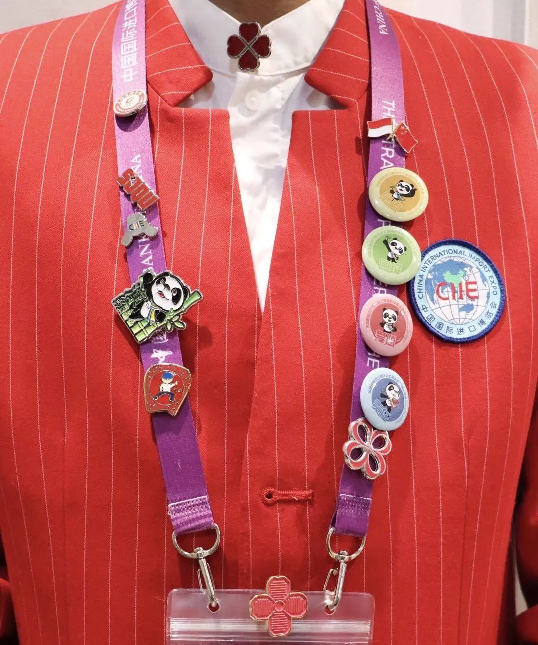 进博会小叶子徽章,进博会小叶子完整视频