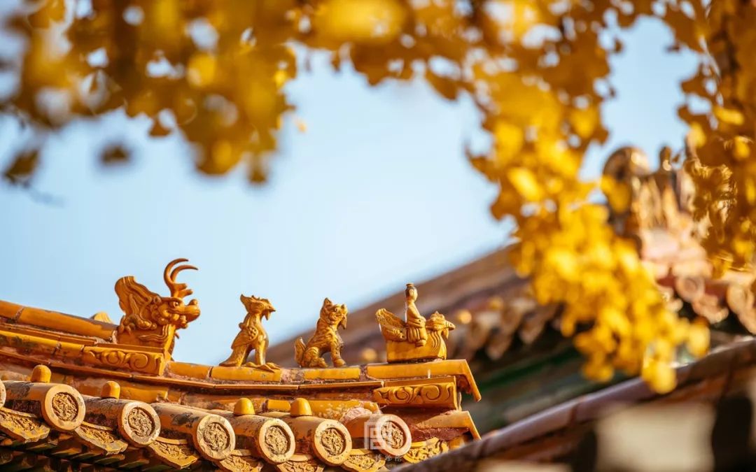 故宫600年故宫图,故宫100张照片原图