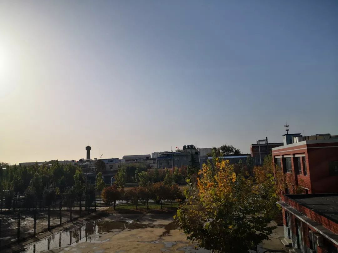 双11快递物流高峰,双11气温大回暖