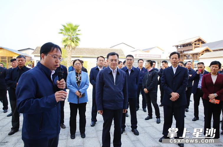 乡村振兴工作取得新进展新成效,乡村振兴考核取得优异成绩